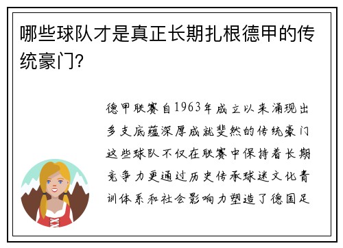 哪些球队才是真正长期扎根德甲的传统豪门？